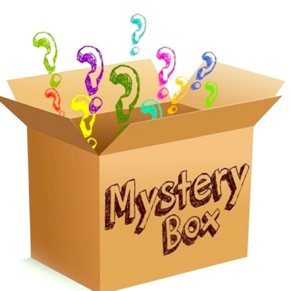 Juicy Couture Assorted Juicy Couture Bags/Throws/Jewelry/Wallet ?? Mystery Box - Picture 4 of 4